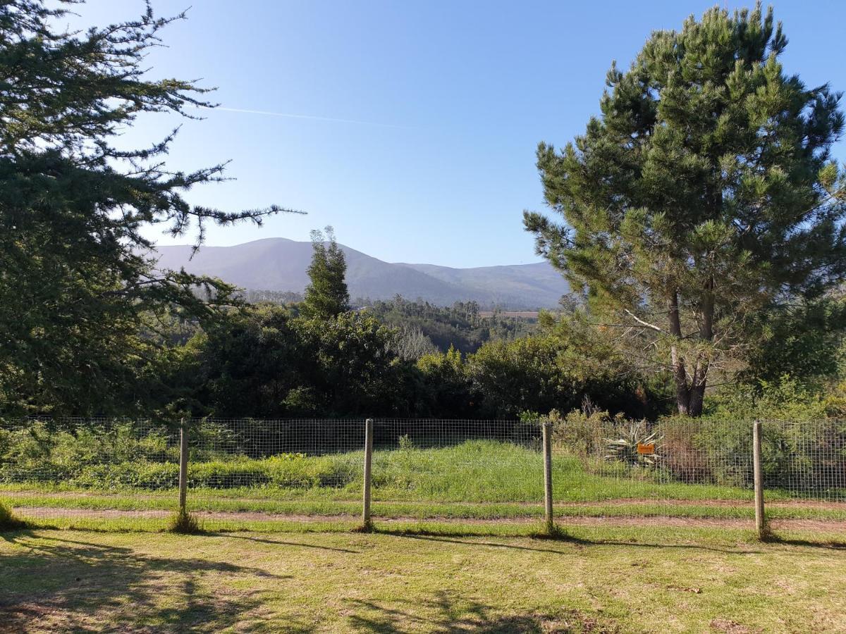 Elephant Country Guest House The Crags 외부 사진